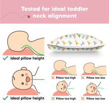 Load image into Gallery viewer, Toddler Pillow with Pillowcase (Roarsome)