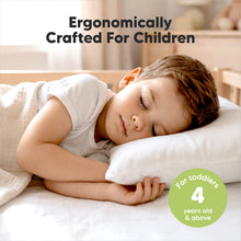 Load image into Gallery viewer, Ergonomically Crafted For Children - For Toddlers 4 years old and above