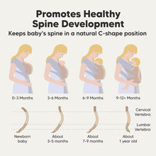 Load image into Gallery viewer, D-Lite Wrap Carrier (Trendy Black)