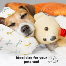 Load image into Gallery viewer, Jumbo Toddler Pillow with Pillowcase (Plane)