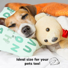 Load image into Gallery viewer, Toddler Pillow with Pillowcase (KeaABC Mint)