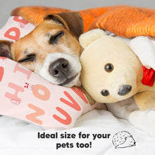 Load image into Gallery viewer, Toddler Pillow with Pillowcase (KeaABC Sakura)