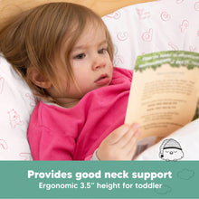 Load image into Gallery viewer, Toddler Pillow with Pillowcase (ABC Land Rose)