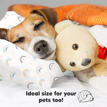 Load image into Gallery viewer, Jumbo Toddler Pillow with Pillowcase (Jolly Rainbow)