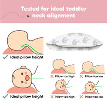 Load image into Gallery viewer, Toddler Pillow with Pillowcase (Moon Sloth)