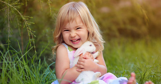 How To Avoid Summer Pests 