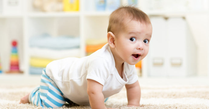 Understanding and Supporting Babies’ Behavioural Development (part 2 of 2)