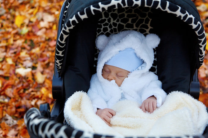 Keeping Your Newborn Safe and Snuggly In The Fall
