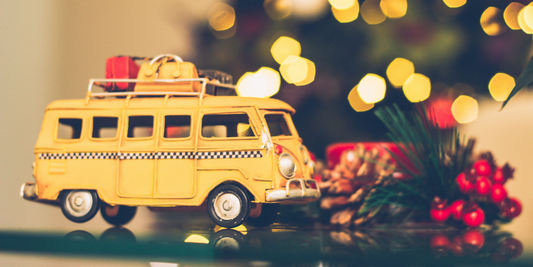 KeaBabies Reasons and challenges in van life