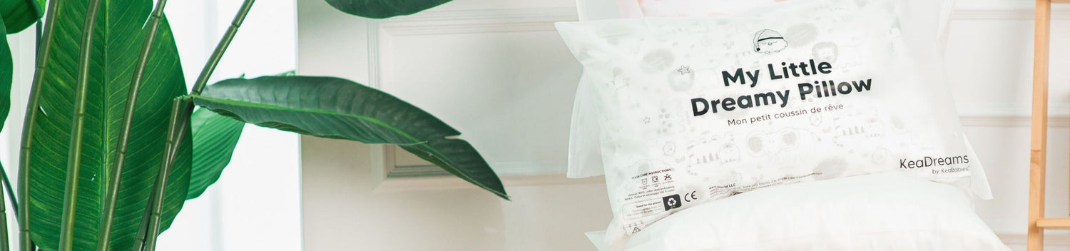 Toddler Pillowcases
