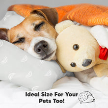 Load image into Gallery viewer, 1-Pack Toddler Pillow Without Pillowcase (Gray Rainbow)
