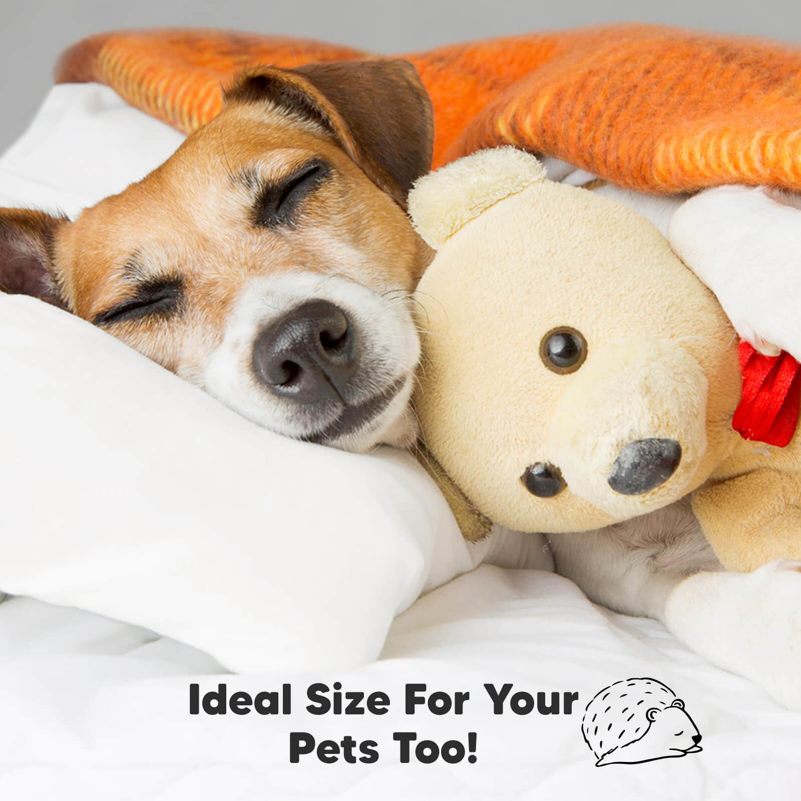 Toddler pillow size is also suitable for pets seeking soft, cozy sleep support. 26077258776762