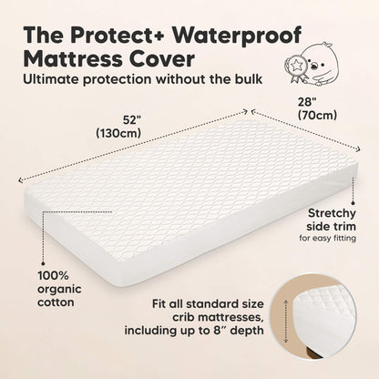 The Protect+ Waterproof Mattress Cover - Ultimate protection without the bulk

52" (130 cm) x 28" (70 cm)

100% organic cotton
Stretchy side trim for easy fitting

Fit all standard size crib mattresses, including up to 8” depth 31213584810170
