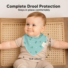 Load image into Gallery viewer, 10-Pack Organic Bandana Bibs (Cosmo)
