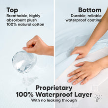 Load image into Gallery viewer, 2-Pack Quin Protect+ Waterproof Crib Mattress Protector (Glacier)
