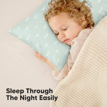 Load image into Gallery viewer, 2-Pack Toddler Pillows Without Pillowcase (Planes)
