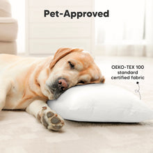 Load image into Gallery viewer, 2-Pack Toddler Pillows Without Pillowcase (Planes)
