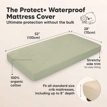 Load image into Gallery viewer, 2-Pack Mavy Protect+ Waterproof Crib Mattress Protector (Avocado)
