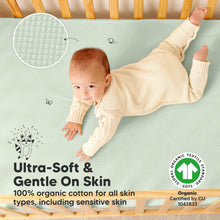 Load image into Gallery viewer, 2-Pack Quin Protect+ Waterproof Crib Mattress Protector (Aloe)
