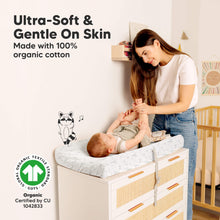 Load image into Gallery viewer, 2-Pack Soothe Changing Pad Covers (DinoDood)
