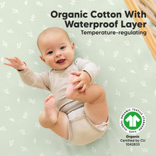Load image into Gallery viewer, 2-Pack Soothe [Protect+] Waterproof Crib Sheets (Herb)
