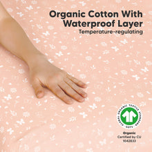 Load image into Gallery viewer, 2-Pack Soothe [Protect+] Waterproof Mini Crib Sheets (Butterflies)
