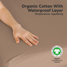 Load image into Gallery viewer, 2-Pack Soothe [Protect+] Waterproof Mini Crib Sheets (Latte)
