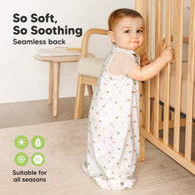 Load image into Gallery viewer, 2-Pack Soothe Sleep Sacks (Roarsome)
