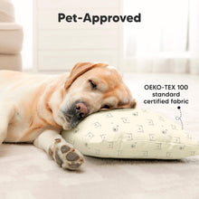 Load image into Gallery viewer, 2-Pack Toddler Pillows Without Pillowcase (Bumble Bear)
