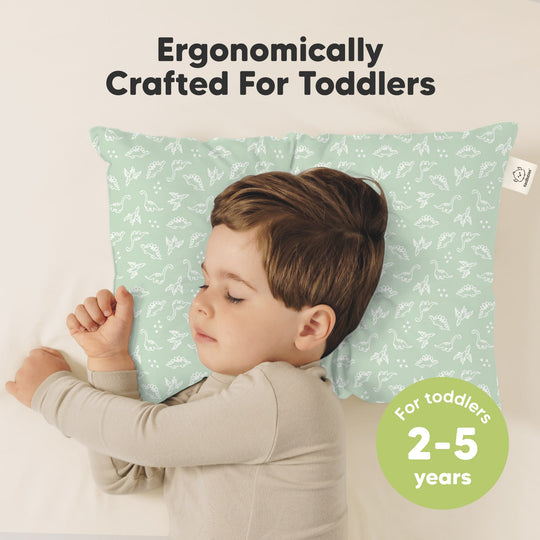 2-Pack Toddler Pillows Without Pillowcase (DinoLand)