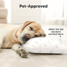 Load image into Gallery viewer, 2-Pack Toddler Pillows Without Pillowcase (Gray Rainbow)
