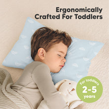 Load image into Gallery viewer, 2-Pack Toddler Pillows Without Pillowcase (Pastel Rainbow)
