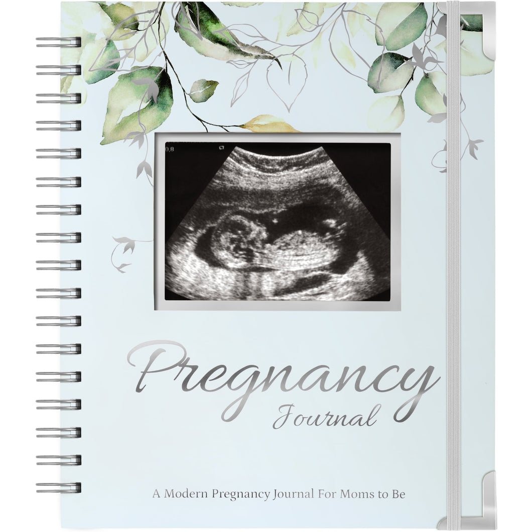 Inspire Pregnancy Journal (Frost)