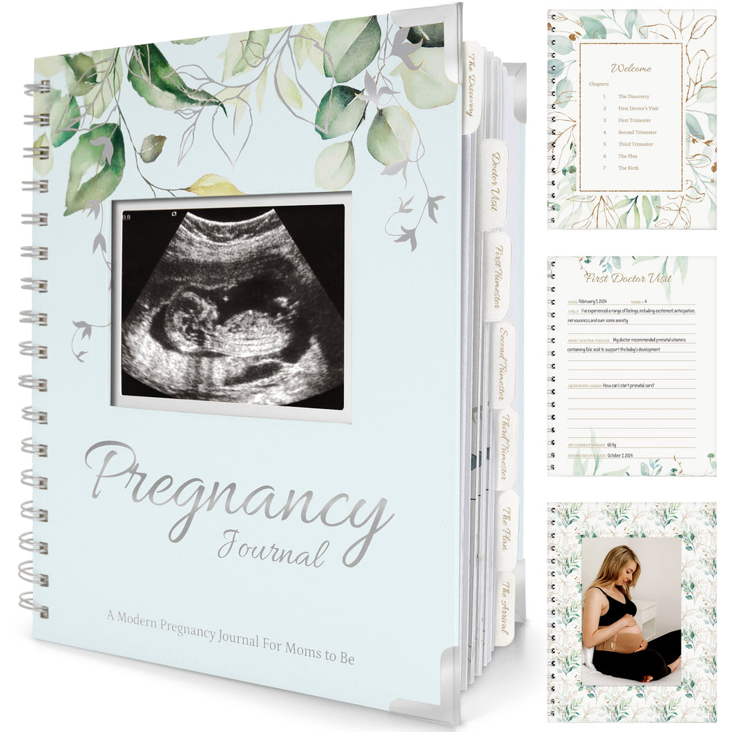 Inspire Pregnancy Journal (Frost)