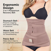 Load image into Gallery viewer, Revive 3-in-1 Postpartum Recovery Support Belt (Dusty Plum)
