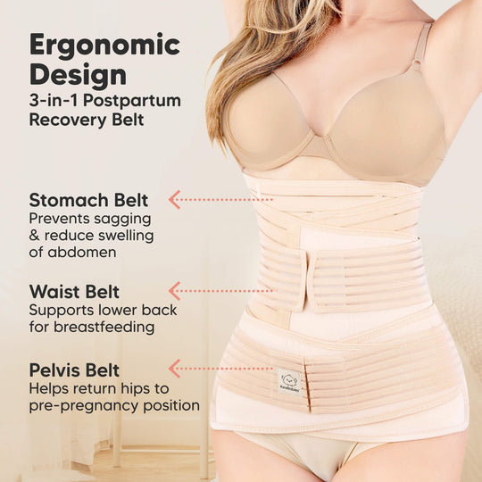 Revive 3-in-1 Postpartum Recovery Support Belt