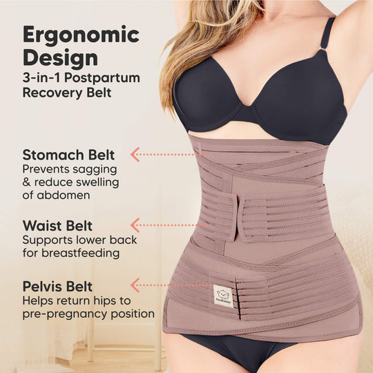 Revive 3-in-1 Postpartum Recovery Support Belt (Dusty Plum)