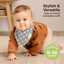 Load image into Gallery viewer, 8-Pack Organic Bandana Bibs (Crossroads)
