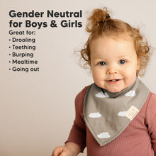 Load image into Gallery viewer, 8-Pack Organic Bandana Bibs (Boy)
