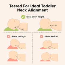 Load image into Gallery viewer, Buddy Toddler Pillow (Flutter)
