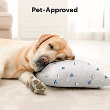 Load image into Gallery viewer, Jumbo Toddler Pillow with Pillowcase (Cosmo)
