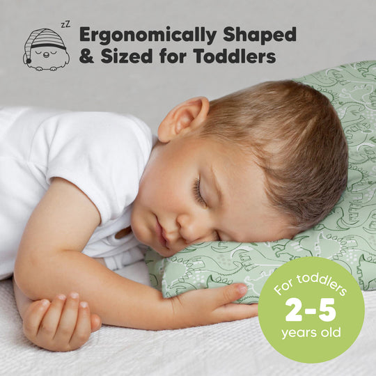 Jumbo Toddler Pillow with Pillowcase (DinoDood)