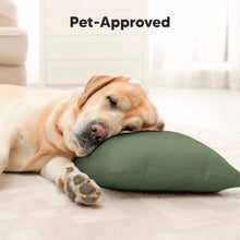 Load image into Gallery viewer, Jumbo Toddler Pillow with Pillowcase (Jungle Green)
