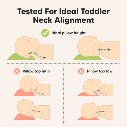 Tested For Ideal Toddler Neck Alignment: Ideal pillow height, Pillow too high, Pillow too low
 26524490989754