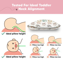Load image into Gallery viewer, Jumbo Toddler Pillow with Pillowcase (Wild Count)

