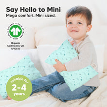 Load image into Gallery viewer, Mini Toddler Pillow With Pillowcase (Polar)
