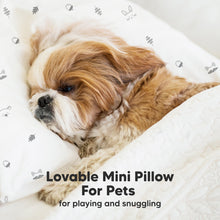 Load image into Gallery viewer, Mini Toddler Pillow With Pillowcase (Bumble Bear)
