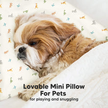Load image into Gallery viewer, Mini Toddler Pillow With Pillowcase (Jolly Rainbow)
