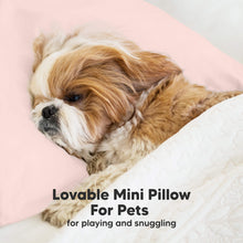 Load image into Gallery viewer, Mini Toddler Pillow With Pillowcase (Mist Pink)
