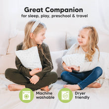 Load image into Gallery viewer, Mini Toddler Pillow With Pillowcase (Prairie)
